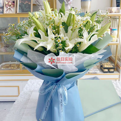 宿州8支白色多头百合洋甘菊，互倾的思念