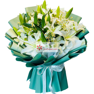 宿州8支白色多头百合洋甘菊，如潮的思念